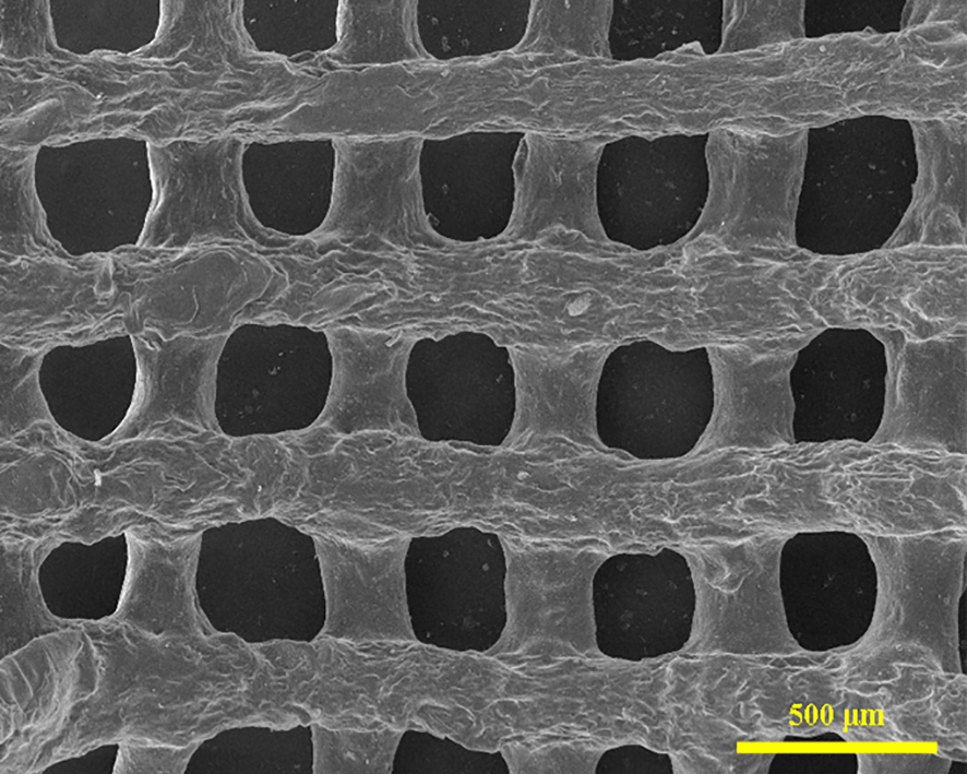 SEM micrograph of a representative 3D-printed drug-delivery wound dressing (chitosan-cerium oxide coated with vancomycin-loaded alginate)