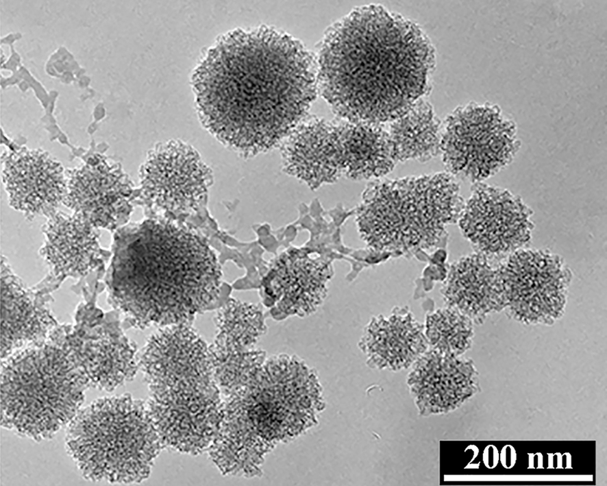 TEM micrograph of strontium-doped mesoporous bioactive glass synthesized by a template-assisted sol-gel method
